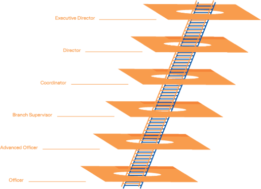 SignalCareerLadderGraphic_Web